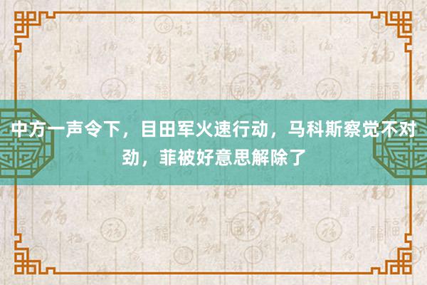 中方一声令下，目田军火速行动，马科斯察觉不对劲，菲被好意思解除了