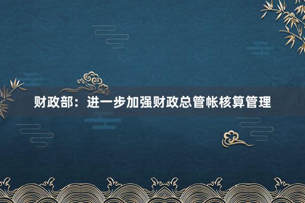 财政部：进一步加强财政总管帐核算管理